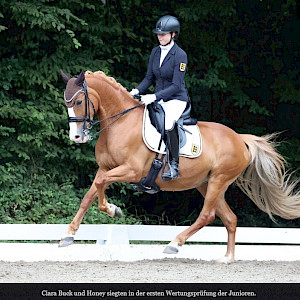 Baden-Württembergische Meisterschaften - PSKO-Erfolge Reiter:innen