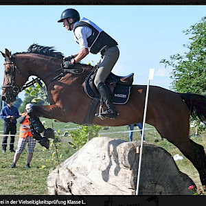 🏇 Württembergische Meisterschaften - Reiter ermitteln auf dem Lußhof die württembergischen Meister
