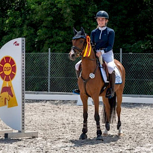 🏇 Württembergische Meisterschaften - Reiter ermitteln auf dem Lußhof die württembergischen Meister