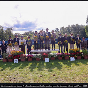 Baden-Württembergischen Meisterschaften - Erfolge im Fahren 🏆