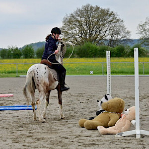 Zwischenstand PSK Oberschwaben-Cup Breitensport 2025 - Schomburg-Amtzell 🏅