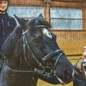 Wissenswert - Amelie Wegmann erfolgreich im Vierkampf