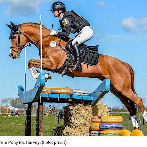 Fortbildung Vielseitigkeit - 🏇 Helena Himstedt im Bundeskader 🌟