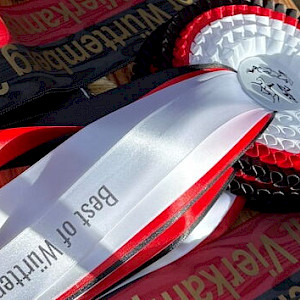 🏅 Internationale Vierkampfwettbewerbe in Herbertingen 🏅