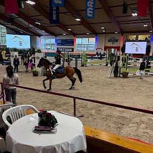 Pony Master Erfolge im Springen - Silber für Jana Roth! 🥈