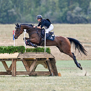 Vielseitigkeit: Internationale Siege für Helena Himstedt im ungarischen Babolna  🐎✨
