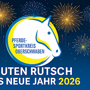 🔥PSKO: Frohe Weihnachten (gehabt zu haben) & Happy New Year 2026!🔥