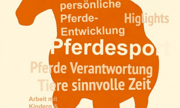 Ein Jahr, das Türen öffnet – Dein FSJ im Pferdesport 🌟