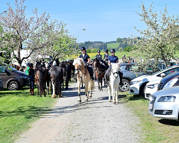 ☀️ PSKO‑Meisterschaft Breitensport - 2. Station Reiten - mit sonnigem O-Ritt beim RFV Schomburg-Amtzell ist voller Erfolg! 🐴☀️