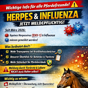 🐎🔍 Pferdeherpes jetzt meldepflichtig – mehr Transparenz für mehr Sicherheit