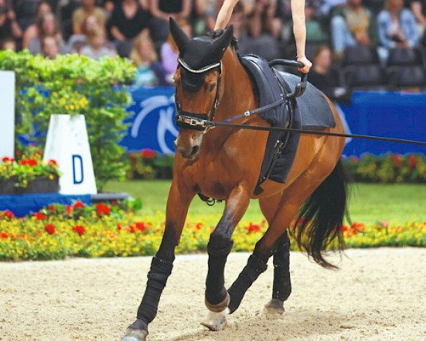 FBW Candy - Siegesserie geht weiter: Alice Layher triumphiert erneut in Lier 🏆✨