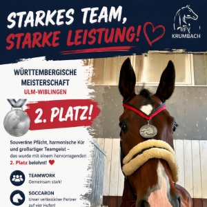 WPSV-Meisterschaften Ulm-Wiblingen: M-Volti-Team Krumbach - starkes Team, starke Leistung! 🥈