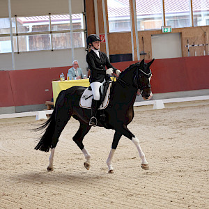 PSKO-Nachwuchs glänzt auf süddeutscher Bühne: Gold für Klara Vetter in Balingen mit der Mannschaft BW! 🐎🏅