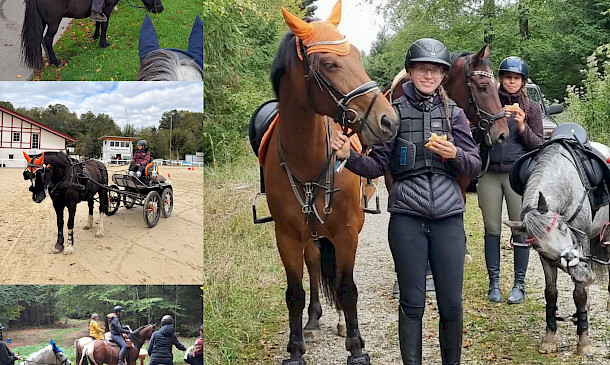 🐴🎉 PSKO-Cup/Meisterschaft: Was für ein Finale in Hauerz! Gewinner der letzten Station der PSKO-Breitensportcupserie 2026!